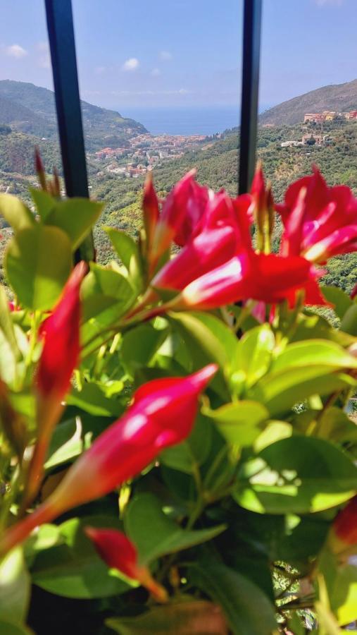 Casa Sofia Daire Levanto Dış mekan fotoğraf
